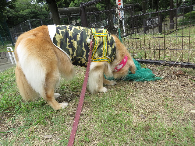 ファイル 5165-1.jpg