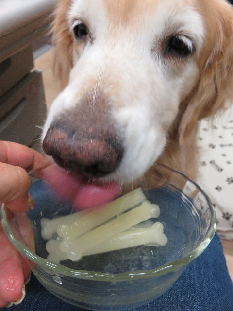 ファイル 5166-2.jpg