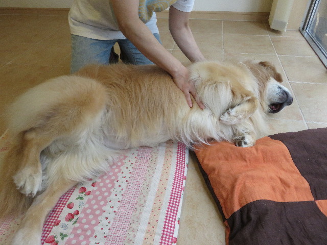 ファイル 5166-5.jpg