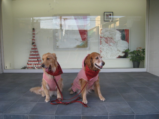 ファイル 517-5.jpg