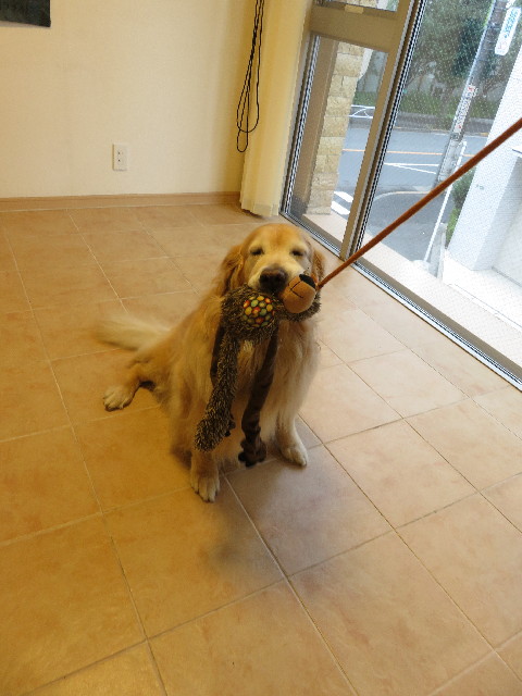 ファイル 5173-4.jpg