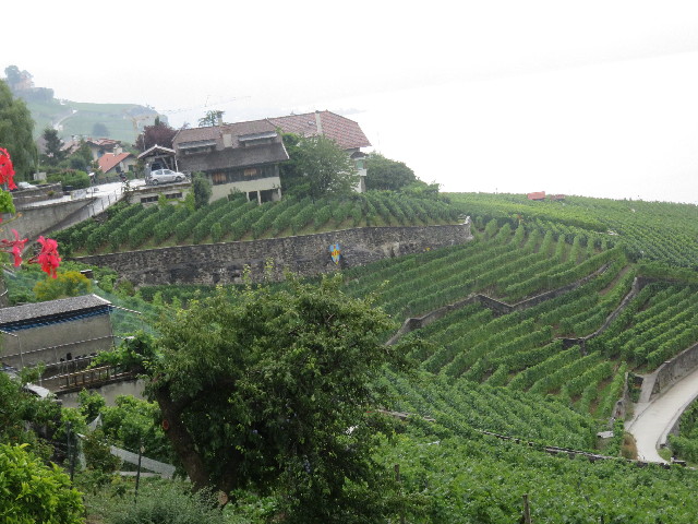 ファイル 5174-3.jpg