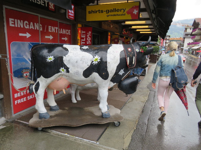 ファイル 5179-1.jpg