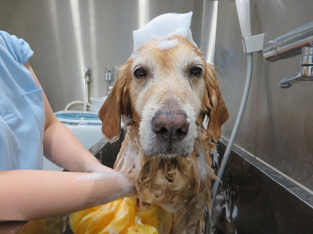 ファイル 5184-5.jpg