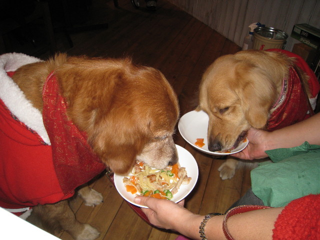 ファイル 519-3.jpg