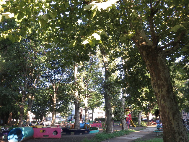 ファイル 5193-1.jpg