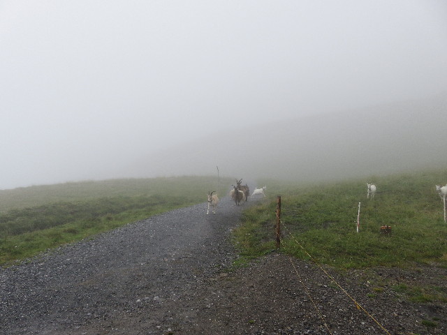 ファイル 5195-3.jpg