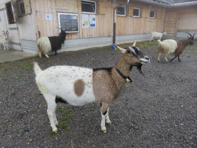 ファイル 5195-4.jpg