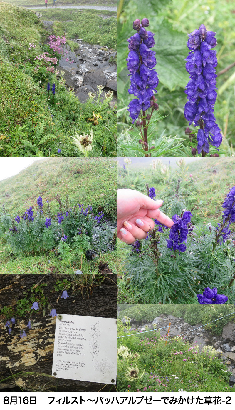 ファイル 5196-5.jpg