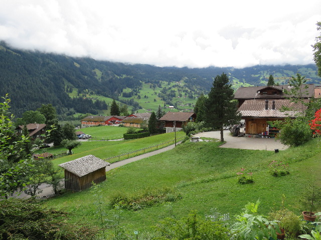 ファイル 5199-1.jpg