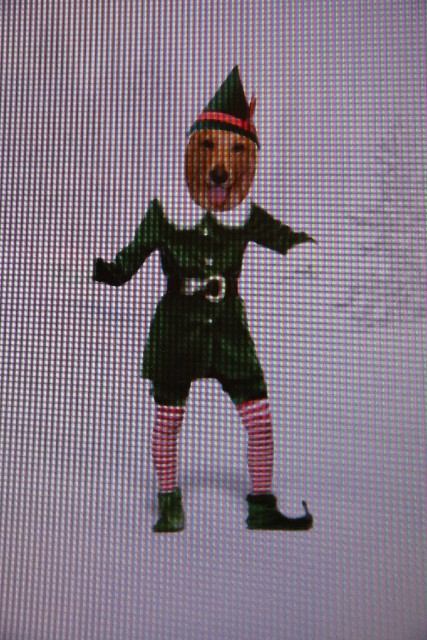 ファイル 520-5.jpg