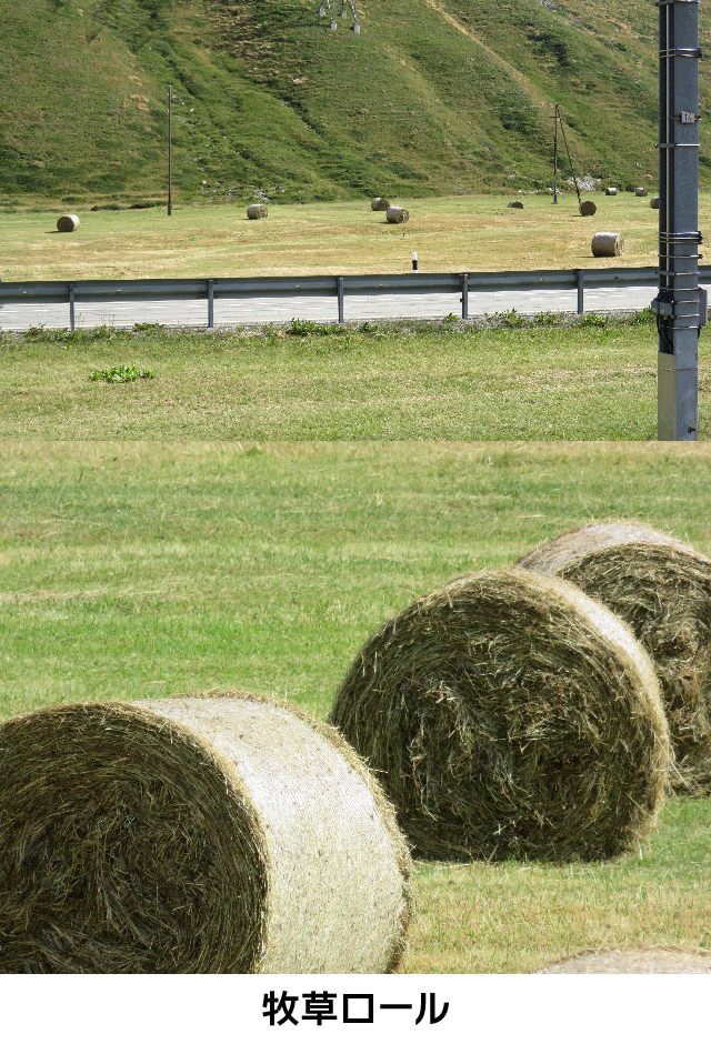 ファイル 5203-4.jpg