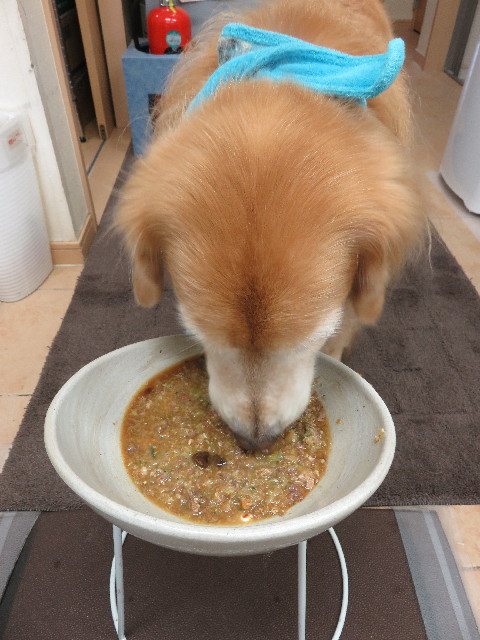 ファイル 5207-2.jpg