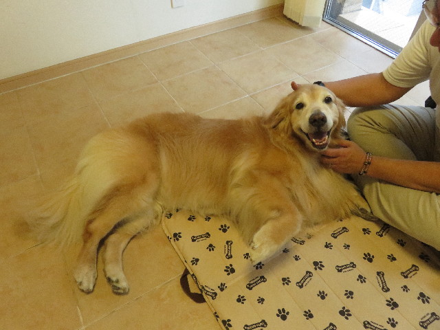 ファイル 5207-3.jpg