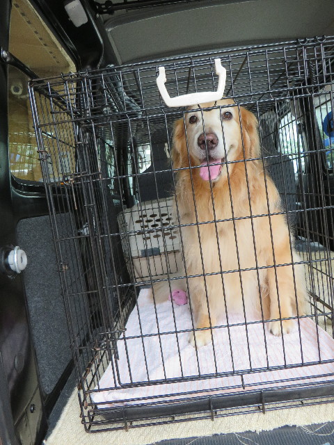 ファイル 5208-1.jpg