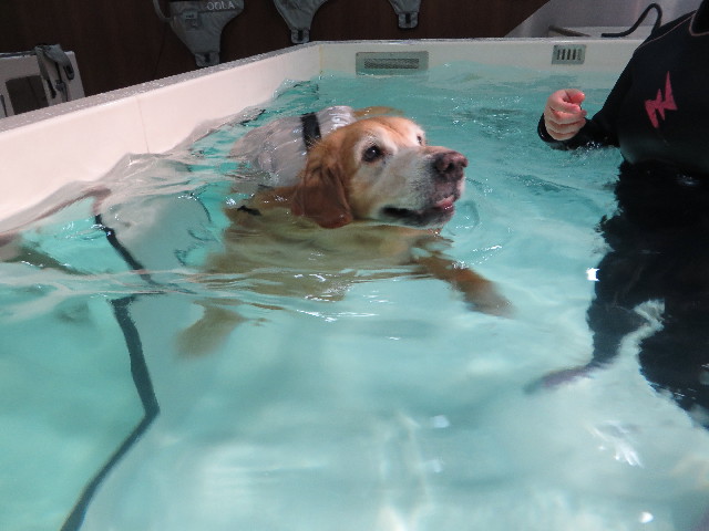 ファイル 5208-2.jpg