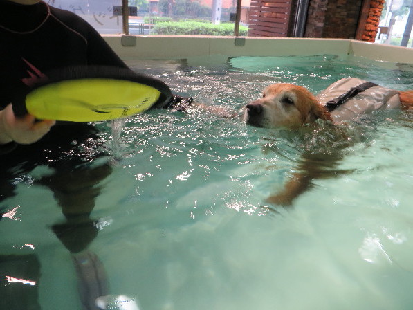 ファイル 5208-4.jpg