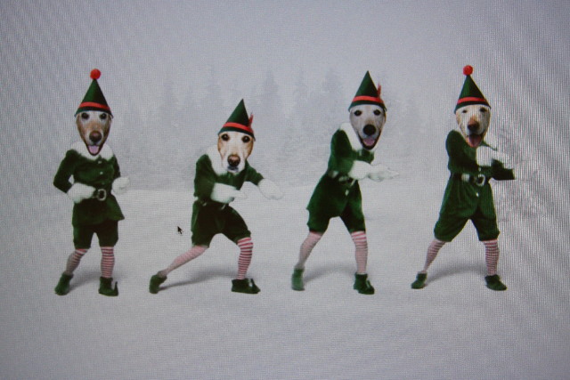 ファイル 521-1.jpg