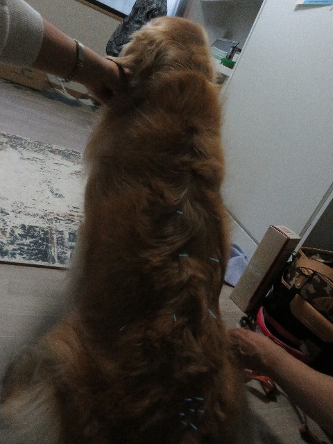 ファイル 5210-2.jpg