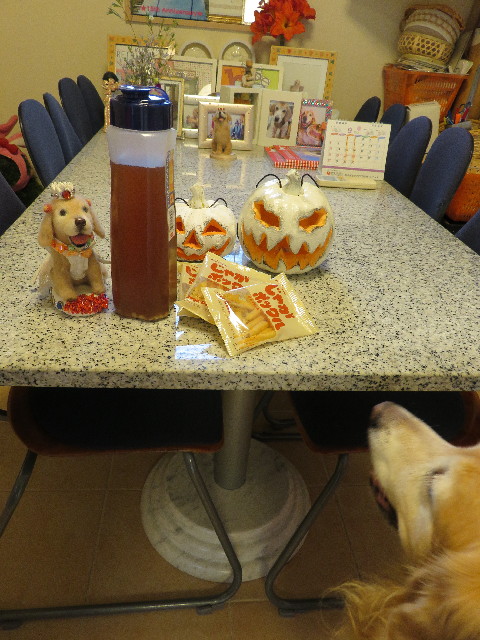 ファイル 5218-3.jpg