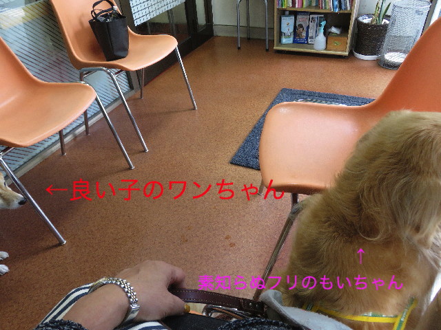 ファイル 5219-1.jpg