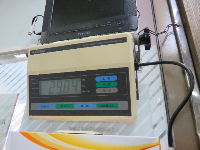 ファイル 5219-2.jpg