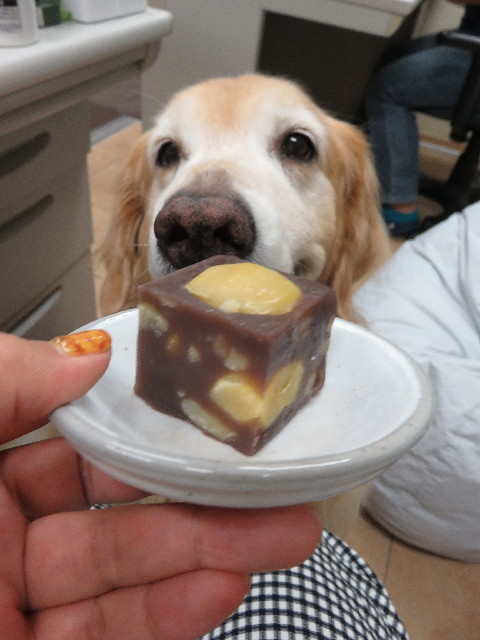 ファイル 5221-1.jpg