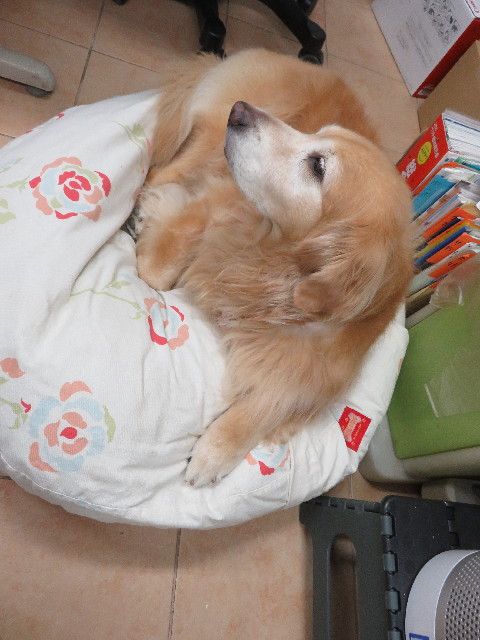 ファイル 5221-2.jpg