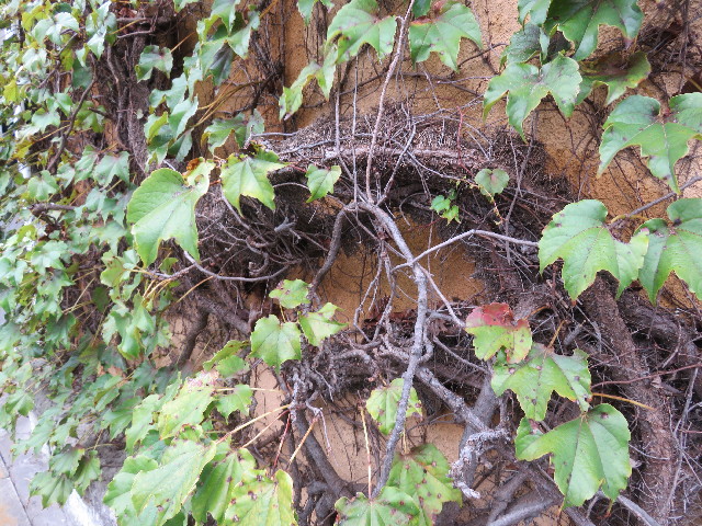 ファイル 5221-3.jpg