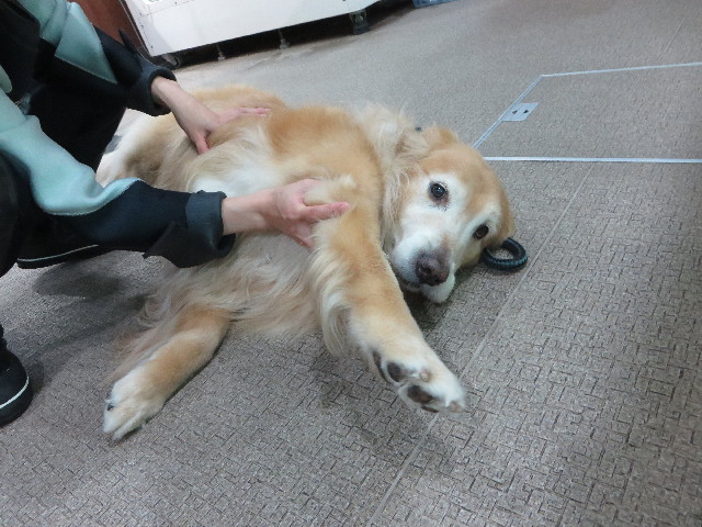 ファイル 5222-1.jpg