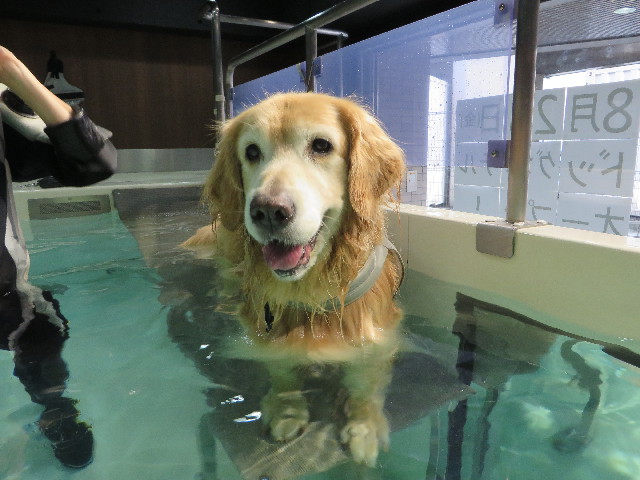 ファイル 5222-2.jpg