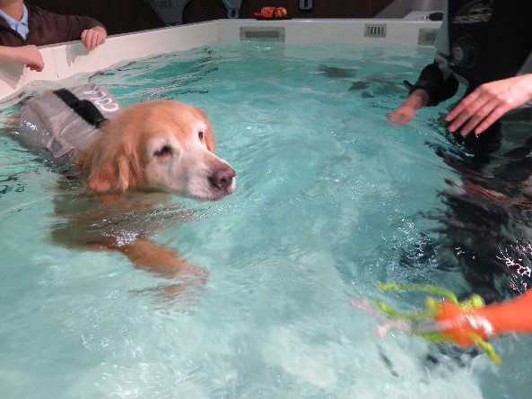 ファイル 5222-3.jpg