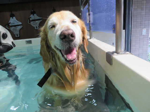 ファイル 5222-4.jpg