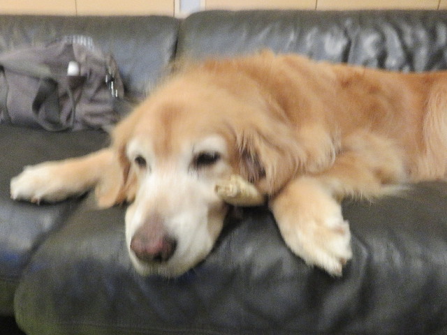 ファイル 5223-4.jpg