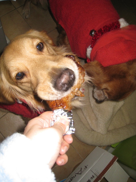 ファイル 523-4.jpg