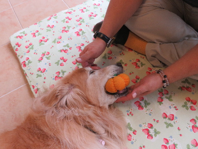 ファイル 5230-2.jpg