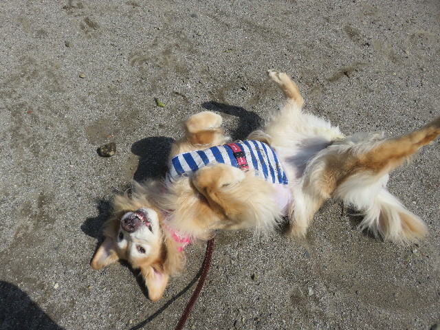 ファイル 5230-5.jpg