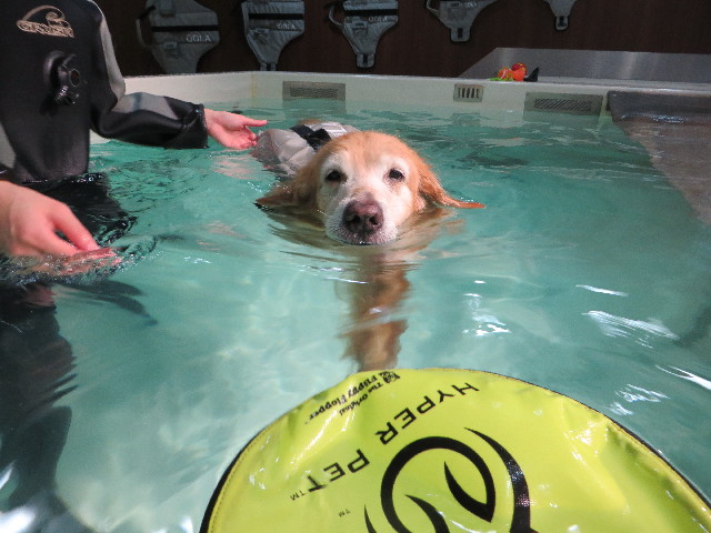 ファイル 5231-4.jpg