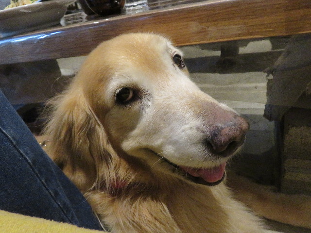 ファイル 5234-3.jpg