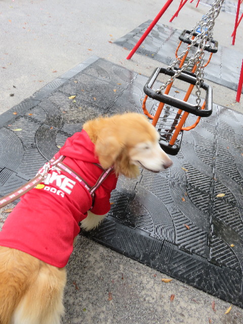 ファイル 5236-3.jpg