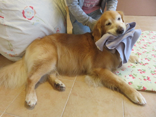 ファイル 5236-4.jpg