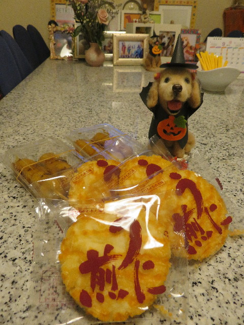 ファイル 5236-5.jpg