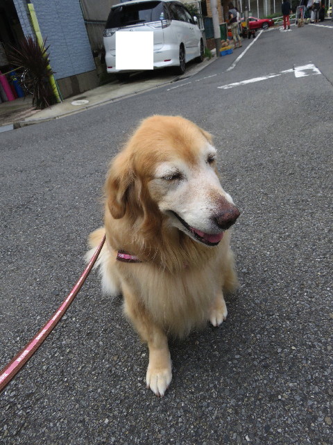 ファイル 5237-1.jpg