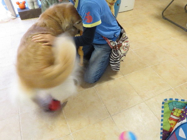 ファイル 5237-3.jpg