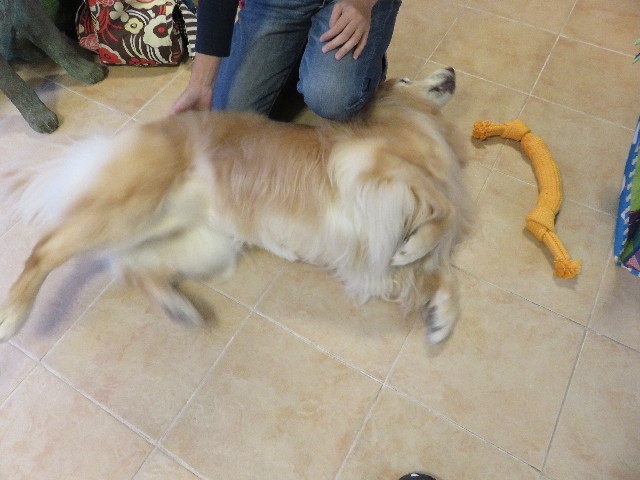 ファイル 5237-5.jpg