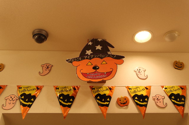 ファイル 5238-5.jpg