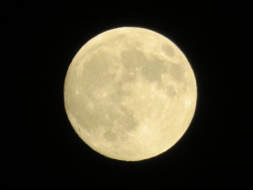 ファイル 5239-1.jpg