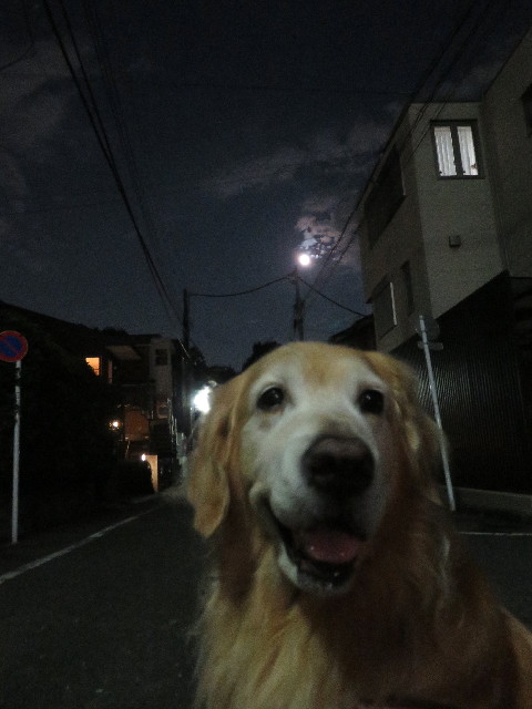 ファイル 5239-4.jpg