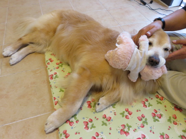 ファイル 5239-5.jpg