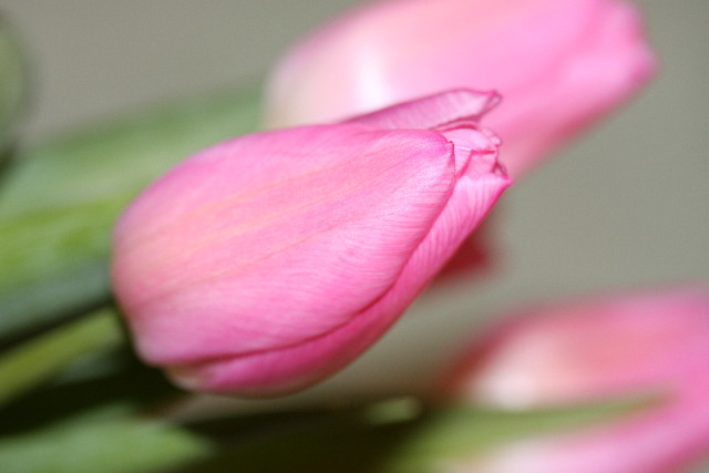 ファイル 524-4.jpg